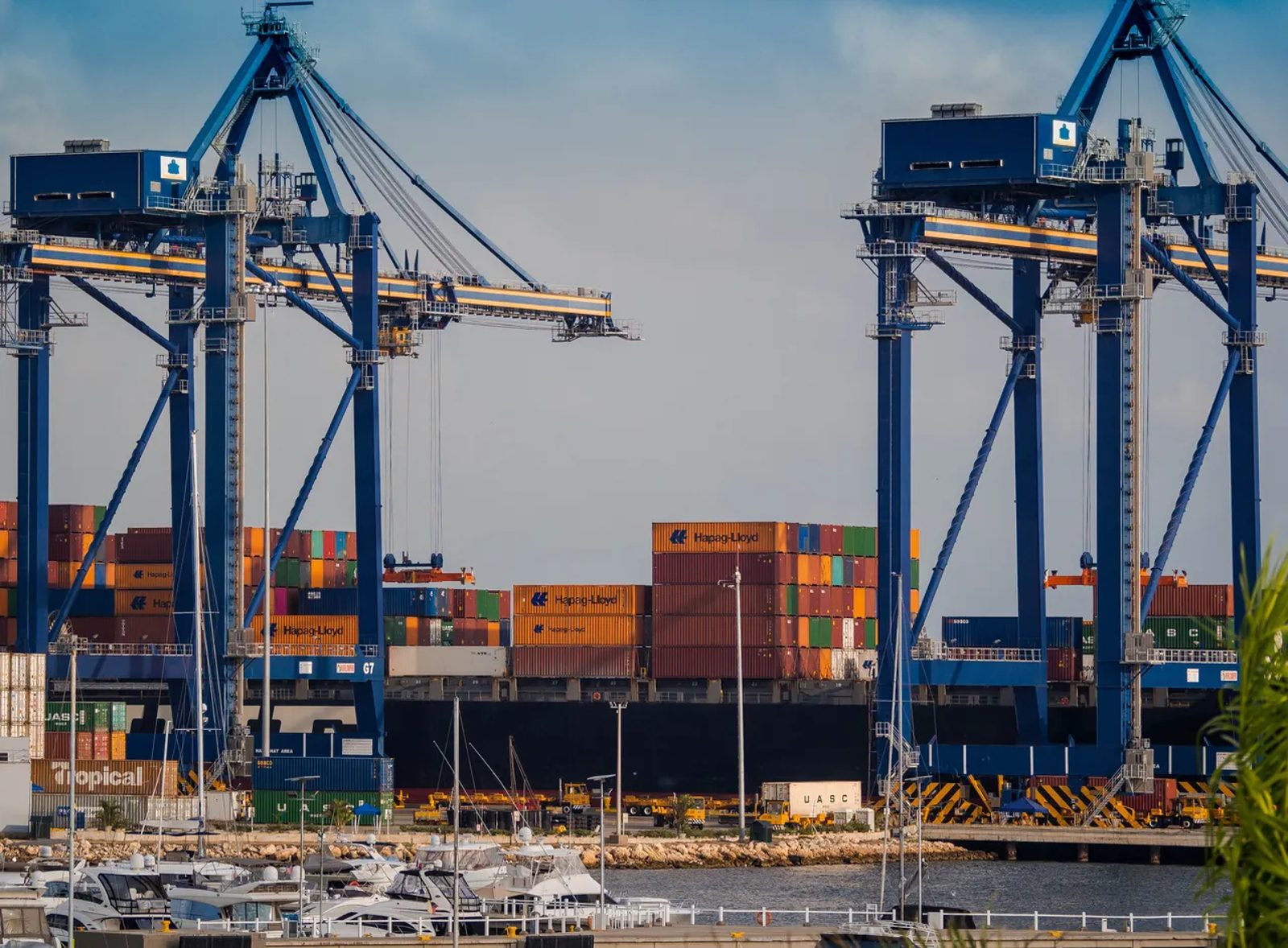 Cargo cranes and containers at a working port